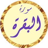 سورة البقرة وديع يمني بدون نت icône