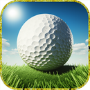 Professional Golfer Game APK
