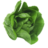 اكلات للرجيم