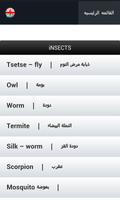 تحدث الانجليزية باتقان screenshot 2