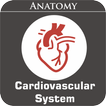 Cardiovascular System иконка