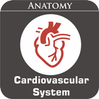 Cardiovascular System biểu tượng