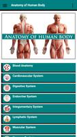 Anatomy of Human Body Affiche