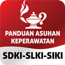 Panduan Asuhan Keperawatan APK