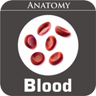 Blood Anatomy simgesi