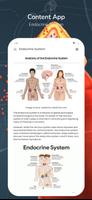 Endocrine System captura de pantalla 2