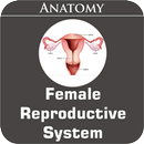 Female Reproductive System APK