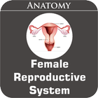 Female Reproductive System آئیکن