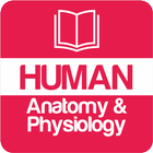 Human Anatomy and Physiology 圖標