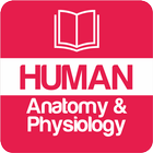 Human Anatomy and Physiology-icoon