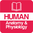 Human Anatomy and Physiology APK