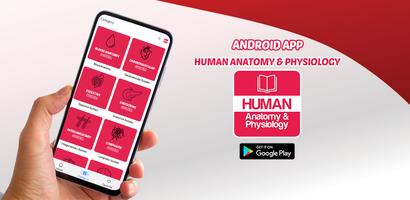 Human Anatomy and Physiology Plakat