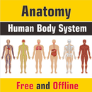 APK Anatomy Human Body System