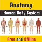 Anatomy Human Body System icône