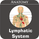 Lymphatic System APK