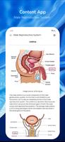 Male Reproductive System ภาพหน้าจอ 3