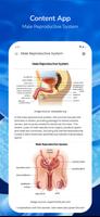 Male Reproductive System ภาพหน้าจอ 2