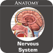 ”Nervous System