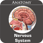 Nervous System icône