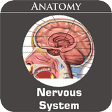 Nervous System APK