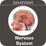 Nervous System आइकन