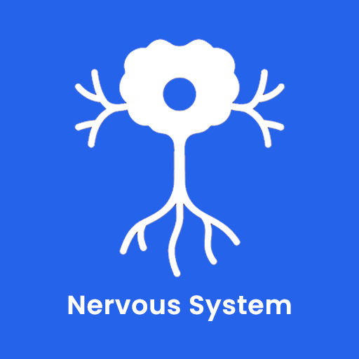 Nervous System