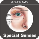Special Senses Anatomy APK