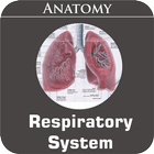 Respiratory System Zeichen