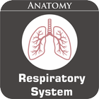 Respiratory System icono