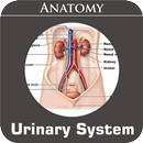 Urinary System aplikacja