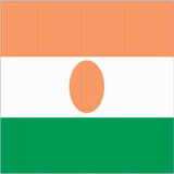 Niger Facts アイコン