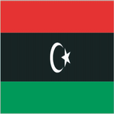 Libya Facts आइकन