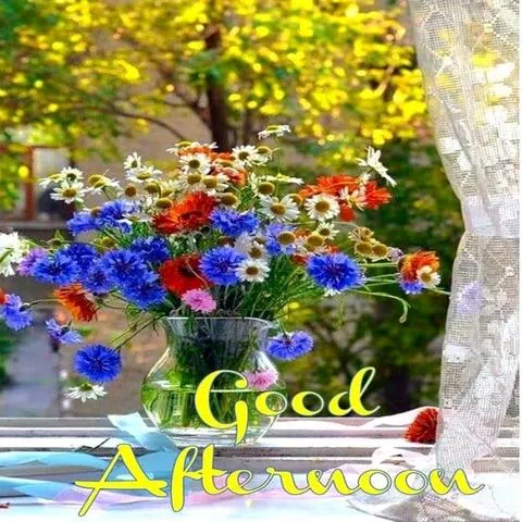 Good Afternoon Flower APK for Android Download