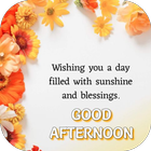 afternoon wishes ikon