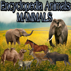 Enciclopedia de animales: mamíferos icono