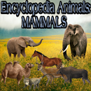 Animal Encyclopedia: Mammals APK