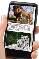 Animal Encyclopedia: Mammals 스크린샷 3