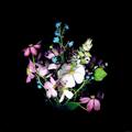 Flower Wallpapers Full HD