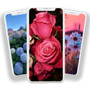 Wallpaper Bunga APK
