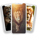 Lion Wallpaper