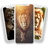 Lion Wallpaper ikona