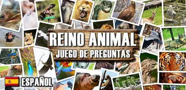 Reino animal - juego de pregun