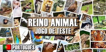 Reino animal - jogo de teste