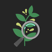 Agent Crop: AI for Agriculture biểu tượng