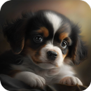 Puppy Lock Screen & Wallpapers aplikacja