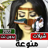 شيلات منوعه 2022 بدون نت‎