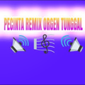 Orgen Remix Mp3 Offline