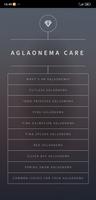 Aglaonema Care постер