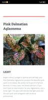 Aglaonema Care скриншот 3
