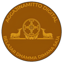 AGM - Digital (Beta) APK